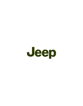 Jeep Patriot 2.2 Crd 163ch