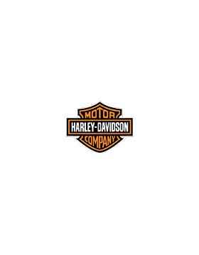 Harley Davidson 883 Xl 2007-2010 Xl 883 C / L / R
