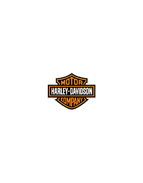 Harley Davidson 1584 Dyna / Softail / Rocker / Electra Glide / ... 2007-2013 1584 Electra Glide