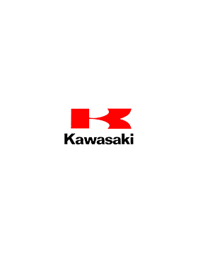 Kawasaki Z900 2016 948cc (a2)