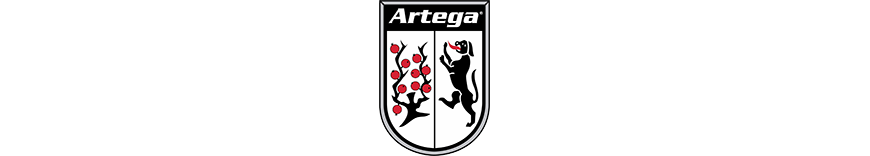 reprogrammation moteur Artega