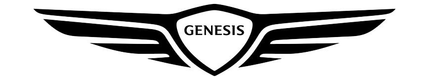 reprogrammation moteur Genesis Gv80 Essence