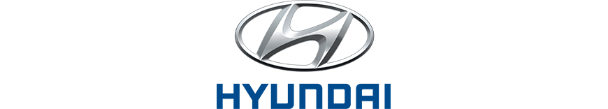 reprogrammation moteur Hyundai H Serie