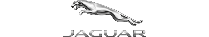 reprogrammation moteur Jaguar