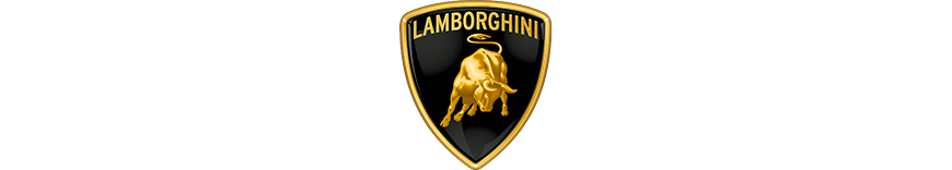 reprogrammation moteur Lamborghini