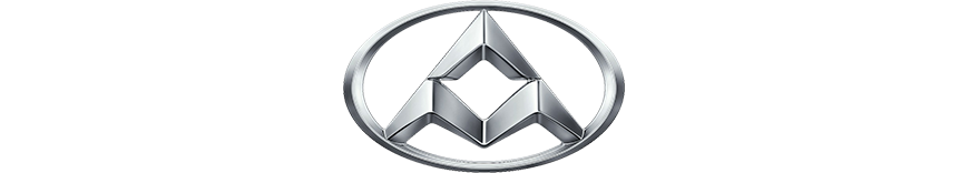 reprogrammation moteur Maxus T60