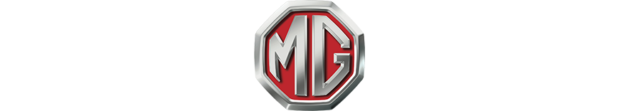 reprogrammation moteur Mg Zs