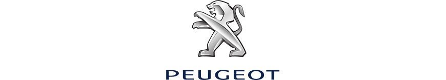 reprogrammation moteur Peugeot 1007