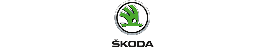 reprogrammation moteur Skoda Fabia