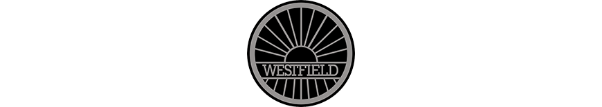 reprogrammation moteur Westfield Fw300