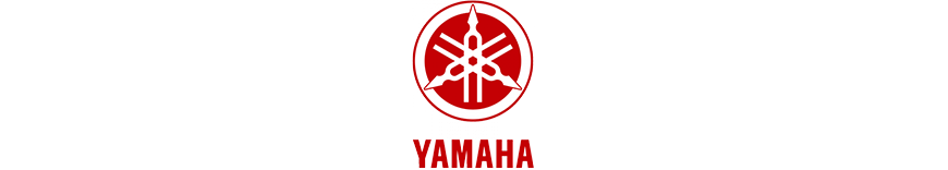 reprogrammation moteur Yamaha