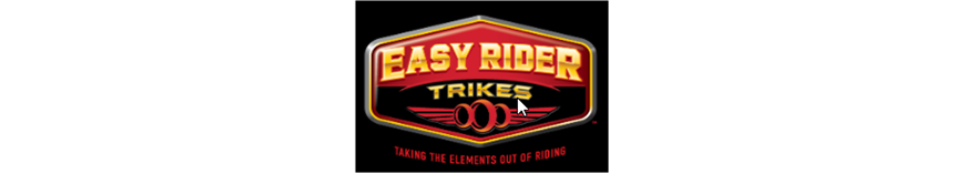 reprogrammation moteur Easy Trike