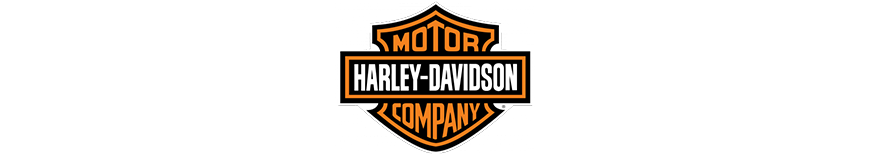 reprogrammation moteur Harley Davidson