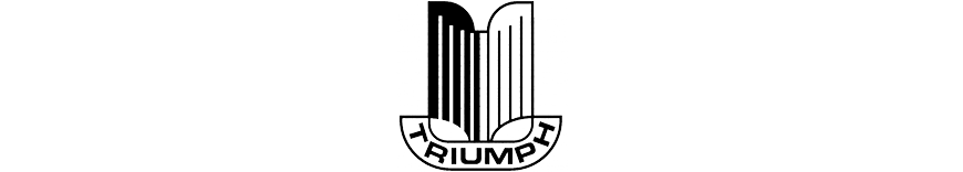 reprogrammation moteur Triumph