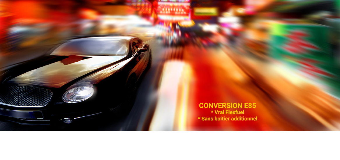 Conversion E85 Flexfuel